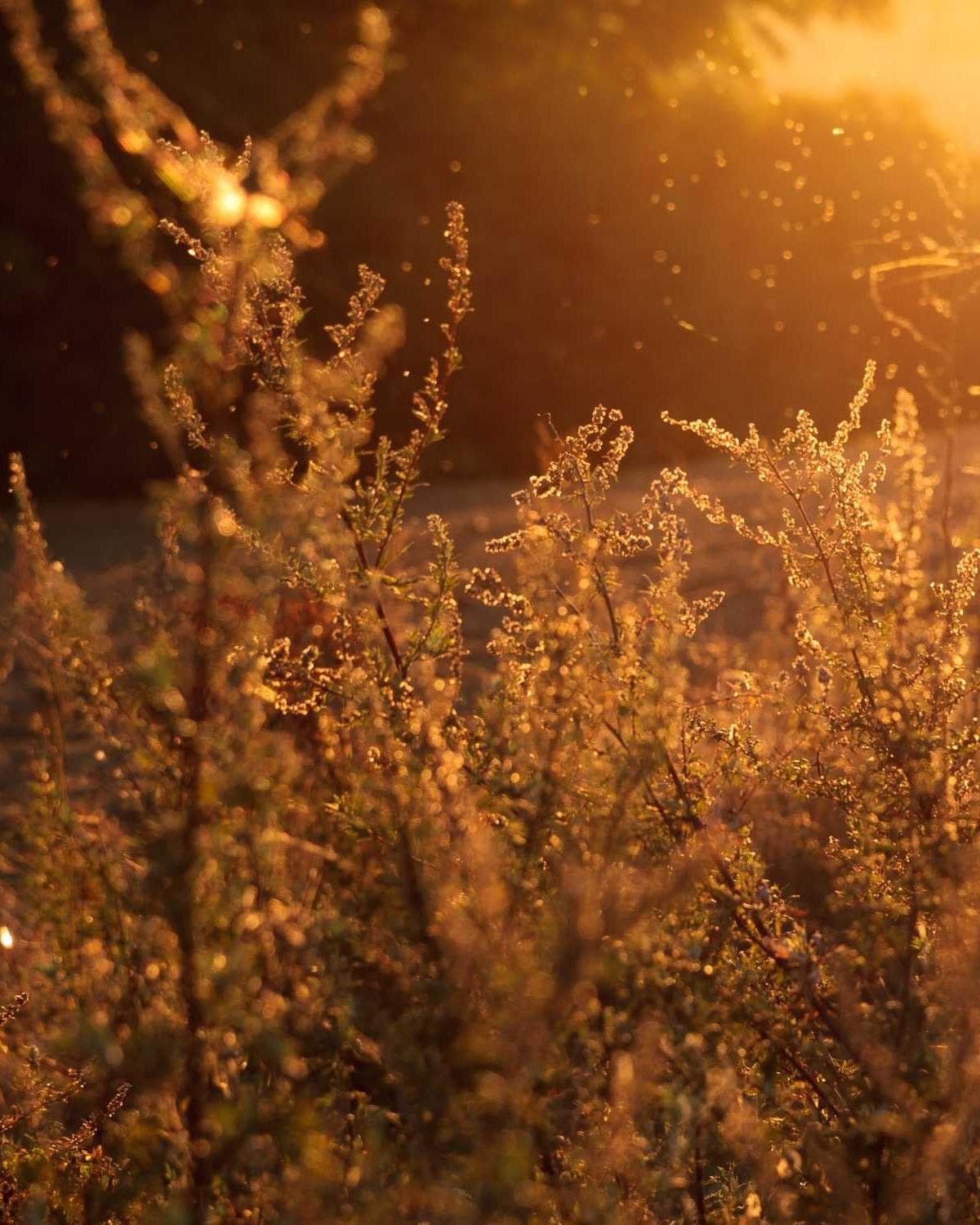 Sunday Morning, Atlanta